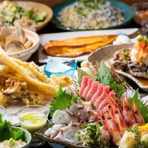 【コース】充実の魚料理と大満足な飲み放題付き！