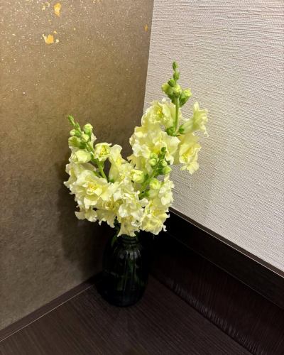 .
【別邸涵養荘の今週のお花💐】

お店を彩るお花たちです💐
プロデュースは小山生花店様にお願いしております！
いつもありがとうございます😊

↓ご予約はオンライン予約がおすすめです！
https://seikoanbetteikanyoso.owst.jp/（ホットペッパー）

ご予約  お問い合わせは、
📞025-211-7703

プロフィールのリンクから
webサイトにアクセスできます！
🔍@seikoan_bettei_kanyoso

その他SNSやグルメサイトなど
詳細はこちらからご覧いただけます↓↓
https://lit.link/Qes1EGif55alyDCldOYLbnL3EXI3
(別邸涵養荘リットリンク)

#別邸涵養荘 #新潟グルメ #新潟ランチ #新潟ディナー #古町ランチ #古町ディナー #月刊新潟Komachi #月刊にいがた #記念日ディナー #日本庭園 #新潟グランドホテル #泉田佑子 #玉川堂 #鎚起銅器  #顔合わせ #顔合わせ食事会 #法要 #結納 #蝋型鋳金 #大久保鋳物 #原惣右エ門 #クッキーボックス #クッキー缶 #お祝い #誕生日 #花束 #秋 #味覚の秋