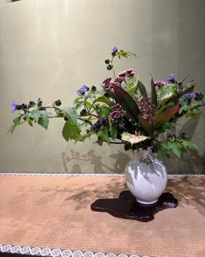 .
【別邸涵養荘の今週のお花💐】

お店を彩るお花たちです💐
プロデュースは小山生花店様にお願いしております！
いつもありがとうございます😊

↓ご予約はオンライン予約がおすすめです！
https://seikoanbetteikanyoso.owst.jp/（ホットペッパー）

ご予約  お問い合わせは、
📞025-211-7703

プロフィールのリンクから
webサイトにアクセスできます！
🔍@seikoan_bettei_kanyoso

その他SNSやグルメサイトなど
詳細はこちらからご覧いただけます↓↓
https://lit.link/Qes1EGif55alyDCldOYLbnL3EXI3
(別邸涵養荘リットリンク)

#別邸涵養荘 #新潟グルメ #新潟ランチ #新潟ディナー #古町ランチ #古町ディナー #月刊新潟Komachi #月刊にいがた #記念日ディナー #日本庭園 #新潟グランドホテル #泉田佑子 #玉川堂 #鎚起銅器  #顔合わせ #顔合わせ食事会 #法要 #結納 #蝋型鋳金 #大久保鋳物 #原惣右エ門 #クッキーボックス #クッキー缶 #お祝い #誕生日 #花束 #秋 #味覚の秋