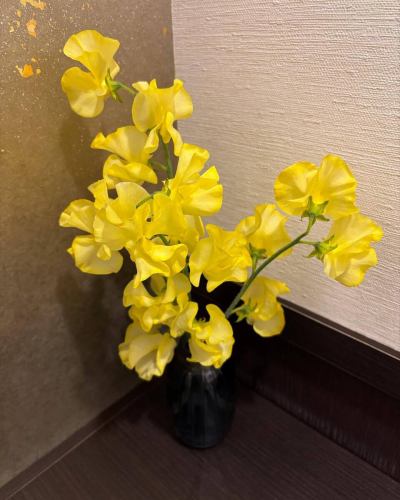 .
【別邸涵養荘の今週のお花💐】

お店を彩るお花たちです💐
プロデュースは小山生花店様にお願いしております！
いつもありがとうございます😊

↓ご予約はオンライン予約がおすすめです！
https://seikoanbetteikanyoso.owst.jp/（ホットペッパー）

ご予約  お問い合わせは、
📞025-211-7703

プロフィールのリンクから
webサイトにアクセスできます！
🔍@seikoan_bettei_kanyoso

その他SNSやグルメサイトなど
詳細はこちらからご覧いただけます↓↓
https://lit.link/Qes1EGif55alyDCldOYLbnL3EXI3
(別邸涵養荘リットリンク)

#別邸涵養荘 #新潟グルメ #新潟ランチ #新潟ディナー #古町ランチ #古町ディナー #月刊新潟Komachi #月刊にいがた #記念日ディナー #日本庭園 #新潟グランドホテル #泉田佑子 #玉川堂 #鎚起銅器  #顔合わせ #顔合わせ食事会 #法要 #結納 #蝋型鋳金 #大久保鋳物 #原惣右エ門 #クッキーボックス #クッキー缶 #お祝い #誕生日 #花束