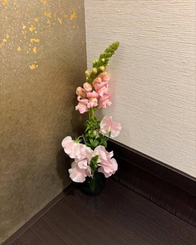 .
[This week's flower at Bettei Karyosou 💐]

Flowers that decorate the shop 💐
We ask Koyama Flower Shop to produce it!
Thank you as always 😊

↓We recommend making reservations online!
https://seikoanbetteikanyoso.owst.jp/(hot pepper)

For reservation inquiries, please contact
📞 025-211-7703

From the link in the profile
You can access the website!
🔍@seikoan_bettei_kanyoso

Other SNS and gourmet sites
For more details, please click here↓↓
https://lit.link/Qes1EGif55alyDCldOYLbnL3EXI3
(Bettei Kanyoso Rittrink)

#Bettei Kanyoso #NiigataGourmet #NiigataLunch #NiigataDinner #FurumachiLunch #FurumachiDinner #MonthlyNiigataKomachi #MonthlyNiigata #AnniversaryDinner #JapaneseGarden #NiigataGrandHotel #IzumidaYuko #Tamagawado #HammeredCopperware #Meeting #MeetingDinnerParty #MemorialService #Engagement #WaxCasting #OkuboCasting #HaraSoemon #CookieBox #CookieTin #Celebration #Birthday #Bouquet #NewYearsParty