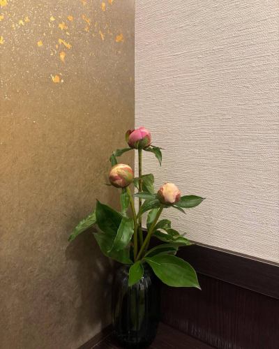 .
【別邸涵養荘の今週のお花💐】

お店を彩るお花たちです💐
プロデュースは小山生花店様にお願いしております！
いつもありがとうございます☺︎♡

ゴールデンウィークがおわり、ご予約が比較的落ち着いています。
天候も暖かくなってきて、お庭も青々としてきました🌿
皆さまのご予約お待ちしております^ ^

↓ご予約はオンライン予約がおすすめです！
https://seikoanbetteikanyoso.owst.jp/（ホットペッパー）

ご予約  お問い合わせは、
📞025-211-7703

プロフィールのリンクから
webサイトにアクセスできます！
🔍@seikoan_bettei_kanyoso

その他SNSやグルメサイトなど
詳細はこちらからご覧いただけます↓↓
https://lit.link/Qes1EGif55alyDCldOYLbnL3EXI3
(別邸涵養荘リットリンク)

#別邸涵養荘 #新潟グルメ #新潟ランチ #新潟ディナー #古町ランチ #古町ディナー #月刊新潟Komachi #月刊にいがた #記念日ディナー #日本庭園 #新潟グランドホテル #泉田佑子 #顔合わせ #顔合わせ食事会 #法要 #蝋型鋳金 #大久保鋳物 #原惣右エ門 #クッキーボックス #クッキー缶 #お祝い #誕生日 #花束 #歓迎会