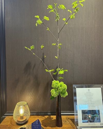 .
【別邸涵養荘の今週のお花💐】

お店を彩るお花たちです💐
プロデュースは小山生花店様にお願いしております！
いつもありがとうございます☺︎♡

ゴールデンウィークがおわり、ご予約が比較的落ち着いています。
天候も暖かくなってきて、お庭も青々としてきました🌿
皆さまのご予約お待ちしております^ ^

↓ご予約はオンライン予約がおすすめです！
https://seikoanbetteikanyoso.owst.jp/（ホットペッパー）

ご予約  お問い合わせは、
📞025-211-7703

プロフィールのリンクから
webサイトにアクセスできます！
🔍@seikoan_bettei_kanyoso

その他SNSやグルメサイトなど
詳細はこちらからご覧いただけます↓↓
https://lit.link/Qes1EGif55alyDCldOYLbnL3EXI3
(別邸涵養荘リットリンク)

#別邸涵養荘 #新潟グルメ #新潟ランチ #新潟ディナー #古町ランチ #古町ディナー #月刊新潟Komachi #月刊にいがた #記念日ディナー #日本庭園 #新潟グランドホテル #泉田佑子 #顔合わせ #顔合わせ食事会 #法要 #蝋型鋳金 #大久保鋳物 #原惣右エ門 #クッキーボックス #クッキー缶 #お祝い #誕生日 #花束 #歓迎会