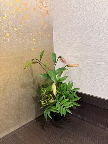 .
【別邸涵養荘の今週のお花💐】

お店を彩るお花たちです💐
プロデュースは小山生花店様にお願いしております！
いつもありがとうございます😊

今週から仲間入り！✨
『安田瓦花器MYK』Marumi Yasuda Kawara
木の暖かみと凛とした美しさを兼ね備え、 花に寄り添い支えます。
(丸三安田瓦工業オンラインストアより)
https://marumikawara.stores.jp/

ご来店お待ちしております^ ^

↓ご予約はオンライン予約がおすすめです！
https://seikoanbetteikanyoso.owst.jp/（ホットペッパー）

ご予約  お問い合わせは、
📞025-211-7703

プロフィールのリンクから
webサイトにアクセスできます！
🔍@seikoan_bettei_kanyoso

その他SNSやグルメサイトなど
詳細はこちらからご覧いただけます↓↓
https://lit.link/Qes1EGif55alyDCldOYLbnL3EXI3
(別邸涵養荘リットリンク)

【This week's flowers at Bettei Kanyoso 💐】

These are the flowers that decorate the store.💐
We ask Koyamaseikaten to produce it!
Thank you as always.😊

We look forward to your reservation.

↓Online reservations are recommended for reservations!
https://seikoanbetteikanyoso.owst.jp/(HOT PEPPER)

For reservations and inquiries,
📞025-211-7703

You can access the website from the profile link!
🔍@seikoan_bettei_kanyoso

You can see more details such as other SNS and gourmet sites here ↓↓
https://lit.link/Qes1EGif55alyDCldOYLbnL3EXI3(lit.link)

#別邸涵養荘 #新潟グルメ #新潟ランチ #新潟ディナー #古町ランチ #古町ディナー #月刊新潟Komachi #記念日ディナー #日本庭園 #新潟グランドホテル #玉川堂 #鎚起銅器  #顔合わせ #顔合わせ食事会 #法要 #結納 #蝋型鋳金 #クッキーボックス #クッキー缶 #お祝い #誕生日 #花束 #安田瓦 #安田 #丸三安田瓦工業 #kanyoso #betteikanyoso #niigata #niigatarestaurant  #teppanyaki