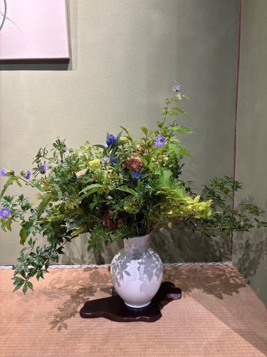 .
[本週別邸觀賞莊的花💐]

這些是裝飾商店的花。
本次活動由小山花店主辦！
一如既往地感謝你😊

“安田河原瓷磚花瓶 MYK” 由 Marumi Yasuda Kawara
它將木材的溫暖與莊重的美感融為一體，支撐並擁抱著花朵。
（摘自丸山安田瓷磚工業網上商店）
https://marumikawara.stores.jp/

我們期待您的光臨^^

↓建議您在線預訂！
https://seikoanbetteikanyoso.owst.jp/(辣椒)

如需預約或諮詢，
📞025-211-7703

來自個人資料中的鏈接
您可以造訪該網站！
🔍@seikoan_bettei_kanyoso

其他SNS及美食網站
更多詳情請點這裡↓↓
https://lit.link/Qes1EGif55alyDCldOYLbnL3EXI3
（別邸 Kanyoso Rittrink）

【本週別邸觀葉莊的花💐】

這些是裝飾商店的花。 💐
We ask Koyamaseikaten to produce it!
一如既往地感謝您。 😊

We look forward to your reservation.

↓建議線上預約哦！
https://seikoanbetteikanyoso.owst.jp/(HOT PEPPER)

For reservations and inquiries,
📞025-211-7703

You can access the website from the profile link!
🔍@seikoan_bettei_kanyoso

其他SNS、美食網站等詳情可在此查看↓↓
https://lit.link/Qes1EGif55alyDCldOYLbnL3EXI3(lit.link)

#Bettei Kanyoso #新潟美食 #新潟午餐 #新潟晚餐 #古町午餐 #古町晚餐 #每月新潟 #週年紀念晚餐 #日本花園 #新潟大酒店 #玉泉堂 #HammeredCopperware #會議 #MeetingDinnerParty #MemorialService #Engagement #WaxCasting #Cookieookie #MeetingDinnerParty #MemorialService #Engagement #WaxCasting #Cookieookieola #CookieookiedTookied #MarusanYasudaTileIndustry #kanyoso #betteikanyoso #niigata #niigatarestaurant #teppanyaki