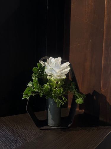 .
【별 저택 양장의 이번주의 꽃💐】

가게를 물들이는 꽃들 💐
프로듀스는 코야마 생화점에 부탁드립니다!
항상 감사합니다 😊

『야스다 기와화기 MYK』 Marumi Yasuda Kawara
나무의 따뜻함과 늠름한 아름다움을 겸비하고, 꽃에 다가가 서포트합니다.
(마루 산야스 기와 산업 온라인 스토어에서)
https://marumikawara.stores.jp/

내점 기다리고 있습니다^^

↓ 예약은 온라인 예약을 추천합니다!
https://seikoanbetteikanyoso.owst.jp/(핫 페퍼)

예약 문의는,
📞025-211-7703

프로필 링크에서
웹 사이트에 액세스 할 수 있습니다!
🔍 @seikoan_bettei_kanyoso

기타 SNS와 미식가 사이트 등
자세한 것은 이쪽으로부터 보실 수 있습니다↓↓
https://lit.link/Qes1EGif55alyDCldOYLbnL3EXI3
(별 저택 양장 릿 링크)

【This week's flowers at Bettei Kanyoso 💐】

These are the flowers that decorate the store.💐
We ask Koyamaseikaten to produce it!
Thank you as always.😊

We look forward to your reservation.

↓Online reservations are recommended for reservations!
https://seikoanbetteikanyoso.owst.jp/(HOT PEPPER)

For reservations and inquiries,
📞025-211-7703

You can access the website from the profile link!
🔍 @seikoan_bettei_kanyoso

You can see more details such as other SNS and gourmet sites here ↓↓
https://lit.link/Qes1EGif55alyDCldOYLbnL3EXI3(lit.link)

#별 저택 양장 #니가타 음식 #니가타 점심 #니가타 디너 #후루마치 점심 #후루마치 저녁 식사 #기념일 저녁 식사 #일본 정원 #니가타 그랜드 호텔 #다마가와도 #진기 동기 #얼굴 맞추기 식사회 #법요 #결납 #왁스형 주금 #쿠키 박스 #야스다 기와 #야스다 #마루 산야다 기와 산업 #kanyoso #betteikanyoso #niigata #niigatarestaurant #teppanyaki #가을