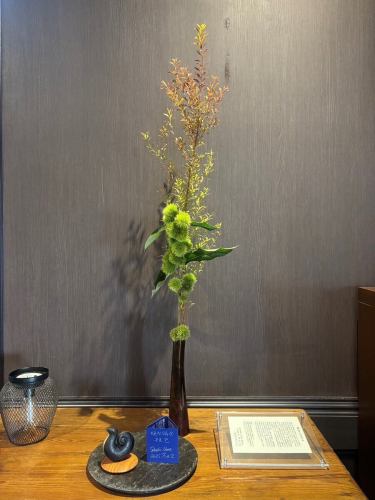 .
【별 저택 양장의 이번주의 꽃💐】

가게를 물들이는 꽃들 💐
프로듀스는 코야마 생화점에 부탁드립니다!
항상 감사합니다 😊

『야스다 기와화기 MYK』 Marumi Yasuda Kawara
나무의 따뜻함과 늠름한 아름다움을 겸비하고, 꽃에 다가가 서포트합니다.
(마루 산야스 기와 산업 온라인 스토어에서)
https://marumikawara.stores.jp/

내점 기다리고 있습니다^^

↓ 예약은 온라인 예약을 추천합니다!
https://seikoanbetteikanyoso.owst.jp/(핫 페퍼)

예약 문의는,
📞025-211-7703

프로필 링크에서
웹 사이트에 액세스 할 수 있습니다!
🔍 @seikoan_bettei_kanyoso

기타 SNS와 미식가 사이트 등
자세한 것은 이쪽으로부터 보실 수 있습니다↓↓
https://lit.link/Qes1EGif55alyDCldOYLbnL3EXI3
(별 저택 양장 릿 링크)

【This week's flowers at Bettei Kanyoso 💐】

These are the flowers that decorate the store.💐
We ask Koyamaseikaten to produce it!
Thank you as always.😊

We look forward to your reservation.

↓Online reservations are recommended for reservations!
https://seikoanbetteikanyoso.owst.jp/(HOT PEPPER)

For reservations and inquiries,
📞025-211-7703

You can access the website from the profile link!
🔍 @seikoan_bettei_kanyoso

You can see more details such as other SNS and gourmet sites here ↓↓
https://lit.link/Qes1EGif55alyDCldOYLbnL3EXI3(lit.link)

#별 저택 양장 #니가타 음식 #니가타 점심 #니가타 디너 #후루마치 점심 #후루마치 저녁 식사 #기념일 저녁 식사 #일본 정원 #니가타 그랜드 호텔 #다마가와도 #진기 동기 #얼굴 맞추기 식사회 #법요 #결납 #왁스형 주금 #쿠키 박스 #야스다 기와 #야스다 #마루 산야다 기와 산업 #kanyoso #betteikanyoso #niigata #niigatarestaurant #teppanyaki #가을