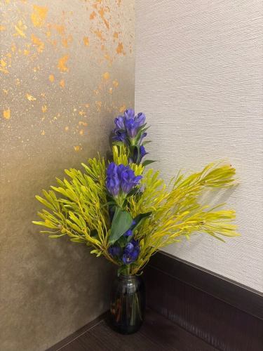 .
【별 저택 양장의 이번주의 꽃💐】

가게를 물들이는 꽃들 💐
프로듀스는 코야마 생화점에 부탁드립니다!
항상 감사합니다 😊

『야스다 기와화기 MYK』 Marumi Yasuda Kawara
나무의 따뜻함과 늠름한 아름다움을 겸비하고, 꽃에 다가가 서포트합니다.
(마루 산야스 기와 산업 온라인 스토어에서)
https://marumikawara.stores.jp/

내점 기다리고 있습니다^^

↓ 예약은 온라인 예약을 추천합니다!
https://seikoanbetteikanyoso.owst.jp/(핫 페퍼)

예약 문의는,
📞025-211-7703

프로필 링크에서
웹 사이트에 액세스 할 수 있습니다!
🔍 @seikoan_bettei_kanyoso

기타 SNS와 미식가 사이트 등
자세한 것은 이쪽으로부터 보실 수 있습니다↓↓
https://lit.link/Qes1EGif55alyDCldOYLbnL3EXI3
(별 저택 양장 릿 링크)

【This week's flowers at Bettei Kanyoso 💐】

These are the flowers that decorate the store.💐
We ask Koyamaseikaten to produce it!
Thank you as always.😊

We look forward to your reservation.

↓Online reservations are recommended for reservations!
https://seikoanbetteikanyoso.owst.jp/(HOT PEPPER)

For reservations and inquiries,
📞025-211-7703

You can access the website from the profile link!
🔍 @seikoan_bettei_kanyoso

You can see more details such as other SNS and gourmet sites here ↓↓
https://lit.link/Qes1EGif55alyDCldOYLbnL3EXI3(lit.link)

#별 저택 양장 #니가타 음식 #니가타 점심 #니가타 디너 #후루마치 점심 #후루마치 저녁 식사 #기념일 저녁 식사 #일본 정원 #니가타 그랜드 호텔 #다마가와도 #진기 동기 #얼굴 맞추기 식사회 #법요 #결납 #왁스형 주금 #쿠키 박스 #야스다 기와 #야스다 #마루 산야다 기와 산업 #kanyoso #betteikanyoso #niigata #niigatarestaurant #teppanyaki #가을