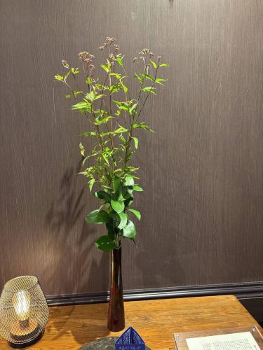 .
[本週別邸觀賞莊的花💐]

這些是裝飾商店的花。
本次活動由小山花店主辦！
一如既往地感謝你😊

“安田河原瓷磚花瓶 MYK” 由 Marumi Yasuda Kawara
它將木材的溫暖與莊重的美感融為一體，支撐並擁抱著花朵。
（摘自丸山安田瓷磚工業網上商店）
https://marumikawara.stores.jp/

我們期待您的光臨^^

↓建議您在線預訂！
https://seikoanbetteikanyoso.owst.jp/(辣椒)

如需預約或諮詢，
📞025-211-7703

來自個人資料中的鏈接
您可以造訪該網站！
🔍@seikoan_bettei_kanyoso

其他SNS及美食網站
更多詳情請點這裡↓↓
https://lit.link/Qes1EGif55alyDCldOYLbnL3EXI3
（別邸 Kanyoso Rittrink）

【本週別邸觀葉莊的花💐】

這些是裝飾商店的花。 💐
We ask Koyamaseikaten to produce it!
一如既往地感謝您。 😊

We look forward to your reservation.

↓建議線上預約哦！
https://seikoanbetteikanyoso.owst.jp/(HOT PEPPER)

For reservations and inquiries,
📞025-211-7703

You can access the website from the profile link!
🔍@seikoan_bettei_kanyoso

其他SNS、美食網站等詳情可在此查看↓↓
https://lit.link/Qes1EGif55alyDCldOYLbnL3EXI3(lit.link)

#Bettei Kanyoso #新潟美食 #新潟午餐 #新潟晚餐 #古町午餐 #古町晚餐 #週年紀念晚餐 #日本花園 #新潟大酒店 #玉泉堂 #HammeredCopperware #Meeting #MeetingDinnerParty #MemorialService #Engagement #WaxCasting #CookieBox #MeetingDinnerParty #MemorialService #Engagement #WaxCasting #CookieBox #CookieTobdald #MemorialService #Engagement #Wpookieas #CookieBox #CookieTobdis #Cookiea #Yeleb; #MarusanYasudaTileIndustry #kanyoso #betteikanyoso #niigata #niigatarestaurant #teppanyaki #Autumn