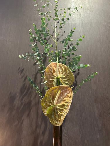 .
【別邸涵養荘の今週のお花💐】
お店を彩るお花たちです💐
プロデュースは小山生花店様にお願いしております!
いつもありがとうございます😊
『安田瓦花器MYK』Marumi Yasuda Kawara
木の暖かみと凛とした美しさを兼ね備え、 花に寄り添い支えます。
(丸三安田瓦工業オンラインストアより)
https://marumikawara.stores.jp/
ご来店お待ちしております^ ^
↓ご予約はオンライン予約がおすすめです!
https://seikoanbetteikanyoso.owst.jp/(ホットペッパー)
ご予約 お問い合わせは、
📞025-211-7703
プロフィールのリンクから
webサイトにアクセスできます!
🔍@seikoan_bettei_kanyoso
その他SNSやグルメサイトなど
詳細はこちらからご覧いただけます↓↓
https://lit.link/Qes1EGif55alyDCldOYLbnL3EXI3
(別邸涵養荘リットリンク)
【This week's flowers at Bettei Kanyoso 💐】
These are the flowers that decorate the store.💐
We ask Koyamaseikaten to produce it!
Thank you as always.😊
We look forward to your reservation.
↓Online reservations are recommended for reservations!
https://seikoanbetteikanyoso.owst.jp/(HOT PEPPER)
For reservations and inquiries,
📞025-211-7703
You can access the website from the profile link!
🔍@seikoan_bettei_kanyoso
You can see more details such as other SNS and gourmet sites here ↓↓
https://lit.link/Qes1EGif55alyDCldOYLbnL3EXI3(lit.link)
#別邸涵養荘 #新潟グルメ #新潟ランチ #新潟ディナー #古町ランチ #古町ディナー #記念日ディナー #日本庭園 #新潟グランドホテル #玉川堂 #鎚起銅器 #顔合わせ #顔合わせ食事会 #法要 #結納 #蝋型鋳金 #クッキーボックス #クッキー缶 #お祝い #誕生日 #花束 #安田瓦 #安田 #丸三安田瓦工業 #kanyoso #betteikanyoso #niigata #niigatarestaurant #teppanyaki #秋