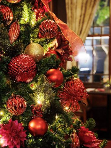 .
今年のクリスマスのご予約はお決まりですか？

年に一度だけの特別なディナーコースをご用意しております！
店内には大きなクリスマスツリーが2つも！🎄
写真撮影にもおすすめです！📷

【🎄別邸涵養荘クリスマスディナー🎄】
クリスマス限定のコースをご用意しました！
2日間だけの特別なディナーをお楽しみください♪

＊2024年12月24日(水)〜25日(木) 17:30〜OPEN
＊お一人様¥38,000(税・サービス料込)

皆様のご予約心よりお待ちしております😊

↓ご予約はオンライン予約がおすすめです！
https://www.hotpepper.jp/strJ001269911/course_cnod17/

ご予約  お問い合わせは、
📞025-211-7703

※ご予約で満席次第、受付を終了させていただきます。
※ご予約1週間前よりキャンセル料が発生します。
キャンセルや人数変更等、お早めにご連絡、ご相談いただけるようお願い申し上げます。

プロフィールのリンクから
webサイトにアクセスできます！
🔍@seikoan_bettei_kanyoso

その他SNSやグルメサイトなど
詳細はこちらからご覧いただけます↓↓
https://lit.link/Qes1EGif55alyDCldOYLbnL3EXI3
(別邸涵養荘リットリンク)

#別邸涵養荘 #クリスマスディナー #クリスマスディナーデート #クリスマスディナー新潟 #新潟クリスマスディナー #新潟クリスマス

【🎄別邸涵養荘クリスマスディナー🎄】
クリスマス限定のコースをご用意しました！
2日間だけの特別なディナーをお楽しみください♪

＊2024年12月24日(水)〜25日(木) 17:30〜OPEN
＊お一人様¥38,000(税・サービス料込)

皆様のご予約心よりお待ちしております😊

↓ご予約はオンライン予約がおすすめです！
https://www.hotpepper.jp/strJ001269911/course_cnod17/

ご予約  お問い合わせは、
📞025-211-7703

※ご予約で満席次第、受付を終了させていただきます。
※ご予約1週間前よりキャンセル料が発生します。
キャンセルや人数変更等、お早めにご連絡、ご相談いただけるようお願い申し上げます。

プロフィールのリンクから
webサイトにアクセスできます！
🔍@seikoan_bettei_kanyoso

その他SNSやグルメサイトなど
詳細はこちらからご覧いただけます↓↓
https://lit.link/Qes1EGif55alyDCldOYLbnL3EXI3
(別邸涵養荘リットリンク)

#別邸涵養荘 #クリスマスディナー #クリスマスディナーデート #クリスマスディナー新潟 #新潟クリスマスディナー #新潟クリスマス