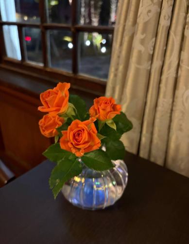 【별 저택 양장의 이번주의 꽃💐】

가게를 물들이는 꽃들입니다 💐
프로듀스는 코야마 생화점에 부탁드립니다!
항상 감사합니다 😊

요 전날부터 입구에있는 오오쿠보 주물이 바뀌 었습니다!
올해의 간지 「오」를 전시하고 있습니다.
https://souemon-imono.com/

『야스다 기와화기 MYK』 Marumi Yasuda Kawara
나무의 따뜻함과 늠름한 아름다움을 겸비하고, 꽃에 다가가 서포트합니다.
(마루 산야다 기와 공업 온라인 스토어에서)
https://marumikawara.stores.jp/

내점 기다리고 있습니다^^

↓ 예약은 온라인 예약을 추천합니다!
https://seikoanbetteikanyoso.owst.jp/(핫 페퍼)

예약 문의는,
📞025-211-7703

프로필 링크에서
웹 사이트에 액세스 할 수 있습니다!
🔍 @seikoan_bettei_kanyoso

기타 SNS와 미식가 사이트 등
자세한 것은 이쪽으로부터 보실 수 있습니다↓↓
https://lit.link/Qes1EGif55alyDCldOYLbnL3EXI3
(별 저택 양장 릿 링크)

【This week's flowers at Bettei Kanyoso 💐】

These are the flowers that decorate the store.💐
We ask Koyamaseikaten to produce it!
Thank you as always.😊

The Okubo Casting at the entrance has changed since the other day!
This year's zodiac sign "Wu" is on display.
https://souemon-imono.com/

"Yasuda Tile Flowerware MYK"Marumi Yasuda Kawara
It combines the warmth and dignified beauty of the tree, and supports the flowers.
(From the Marusan Yasuda Tile Industry Online Store)
https://marumikawara.stores.jp/

We look forward to your reservation.

↓Online reservations are recommended for reservations!
https://seikoanbetteikanyoso.owst.jp/(HOT PEPPER)

For reservations and inquiries,
📞025-211-7703

You can access the website from the profile link!
🔍 @seikoan_bettei_kanyoso

You can see more details such as other SNS and gourmet sites here ↓↓
https://lit.link/Qes1EGif55alyDCldOYLbnL3EXI3(lit.link)

# 별 저택 양장 # 오오쿠보 주물 # 야스다 기와 # 이즈미 유키코 #니가타 그랜드 호텔