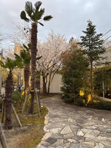 🌸별 저택 양장 벚꽃 소식🌸

입구의 왕벚나무가 만개는 잎 벚꽃이 되어 버렸습니다만,
외뜰과 안뜰에있는 산 벚꽃이 절정을 맞이하고 있습니다! ✨
사진 촬영에 추천입니다!

내점시에는 꼭 봐 주세요^^

↓ 예약은 온라인 예약을 추천합니다!
https://seikoanbetteikanyoso.owst.jp/(핫 페퍼)

예약 문의는,
📞025-211-7703

프로필 링크에서
웹 사이트에 액세스 할 수 있습니다!
🔍 @seikoan_bettei_kanyoso

기타 SNS와 미식가 사이트 등
자세한 것은 이쪽으로부터 보실 수 있습니다↓↓
https://lit.link/Qes1EGif55alyDCldOYLbnL3EXI3
(별 저택 양장 릿 링크)

#별 저택 양장 #야마사쿠라 #벚꽃 개화 #니가타 레스토랑 #니가타 그랜드 호텔