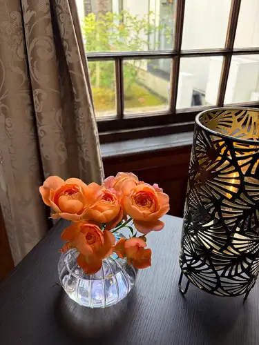 【別邸涵養荘の今週のお花💐】
お店を彩るお花たちです💐
プロデュースは小山生花店様にお願いしております!
いつもありがとうございます😊
先日より入口にある大久保鋳物が変わりました!
今年の干支「午」を展示しております。
https://souemon-imono.com/
『安田瓦花器MYK』Marumi Yasuda Kawara
木の暖かみと凛とした美しさを兼ね備え、 花に寄り添い支えます。
(丸三安田瓦工業オンラインストアより)
https://marumikawara.stores.jp/
ご来店お待ちしております^ ^
↓ご予約はオンライン予約がおすすめです!
https://seikoanbetteikanyoso.owst.jp/(ホットペッパー)
ご予約 お問い合わせは、
📞025-211-7703
プロフィールのリンクから
webサイトにアクセスできます!
🔍@seikoan_bettei_kanyoso
その他SNSやグルメサイトなど
詳細はこちらからご覧いただけます↓↓
https://lit.link/Qes1EGif55alyDCldOYLbnL3EXI3
(別邸涵養荘リットリンク)
【This week’s flowers at Bettei Kanyoso 💐】
These are the flowers that decorate the store.💐
We ask Koyamaseikaten to produce it!
Thank you as always.😊
The Okubo Casting at the entrance has changed since the other day!
This year’s zodiac sign “Wu” is on display.
https://souemon-imono.com/
“Yasuda Tile Flowerware MYK”Marumi Yasuda Kawara
It combines the warmth and dignified beauty of the tree, and supports the flowers.
(From the Marusan Yasuda Tile Industry Online Store)
https://marumikawara.stores.jp/
We look forward to your reservation.
↓Online reservations are recommended for reservations!
https://seikoanbetteikanyoso.owst.jp/(HOT PEPPER)
For reservations and inquiries,
📞025-211-7703
You can access the website from the profile link!
🔍@seikoan_bettei_kanyoso
You can see more details such as other SNS and gourmet sites here ↓↓
https://lit.link/Qes1EGif55alyDCldOYLbnL3EXI3(lit.link)
#別邸涵養荘 #大久保鋳物 #安田瓦 #泉田佑子 #新潟グランドホテル