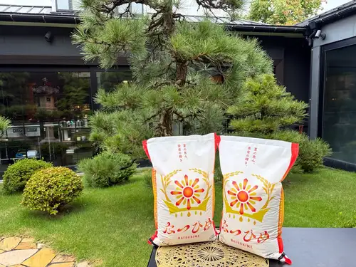 🌾なつひめウィークス🌾
今年デビューの水稲極早生品種『なつひめ』の
プロモーション活動に参加します!
当店では新潟の新しいブランド米「なつひめ」を
8/29(土)〜9/11(金)の期間限定で提供いたします!
詳しくはこちらをご覧ください↓↓
https://www.pref.niigata.lg.jp/site/syokuhin/natsuhime-pr.html
『なつひめ』
粒が大きめで、一粒一粒がしっかりとした食べごたえと、
噛んだときに口に広がる甘みが特徴です。
夏の暑さにも負けずに育った新米を、
8月中に味わうことができます。
https://shin-niigatamai.pref.niigata.lg.jp/
県内外の飲食店でなつひめを提供いたします!
別邸涵養荘の他に、
メディアシップのFRENCH TEPPAN 静香庵、
東京の銀座 静香庵
でも召し上がれます!
ぜひこの機会にお試しください!!
↓ご予約はオンライン予約がおすすめです!
https://seikoanbetteikanyoso.owst.jp/(ホットペッパー)
ご予約 お問い合わせは、
📞025-211-7703
プロフィールのリンクから
webサイトにアクセスできます!
🔍@seikoan_bettei_kanyoso
その他SNSやグルメサイトなど
詳細はこちらからご覧いただけます↓↓
https://lit.link/Qes1EGif55alyDCldOYLbnL3EXI3
(別邸涵養荘リットリンク)
#なつひめ #なつひめウィークス #新潟米 #別邸涵養荘 #新潟グランドホテル