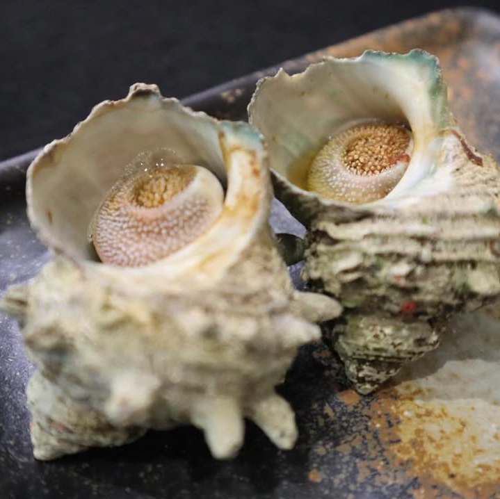 独自ルートで仕入れる新鮮な魚介類が最高！飲み会や宴会に♪
