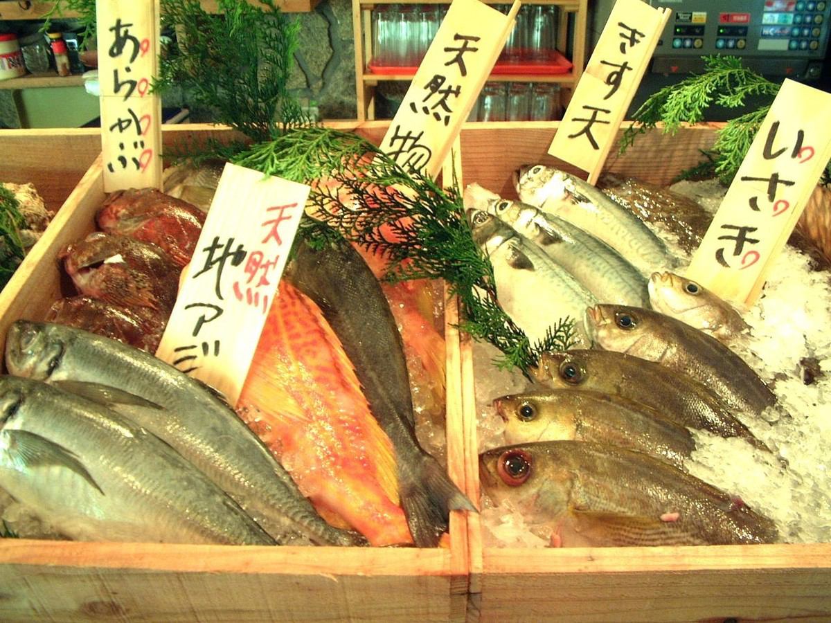 您可以直接从市场上享用新鲜的鱼和酒♪如果您正在寻找我们商店的新鲜食物