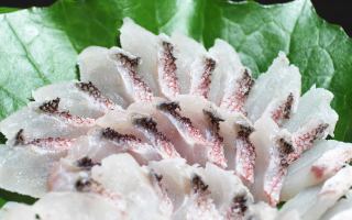 Tilefish sashimi