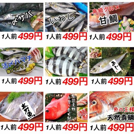 Daily super recommended fresh fish sashimi