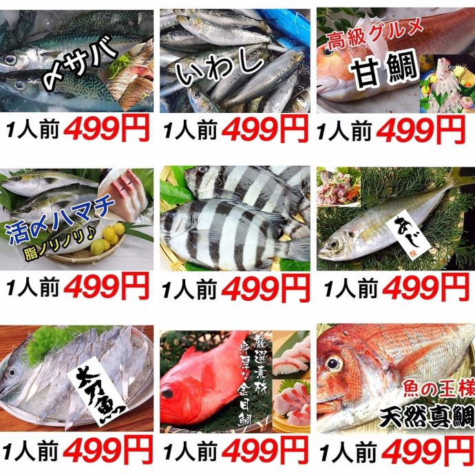 魚一番 博多 筑紫口本店【公式】