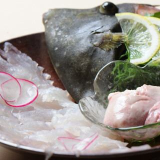 [Specialty] This is live sashimi! Live fish filefish shaped like fish