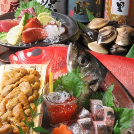 【魚主菜】鯖魚等11道菜/生魚片5種拼盤等120分鐘【無限暢飲】5,000日元