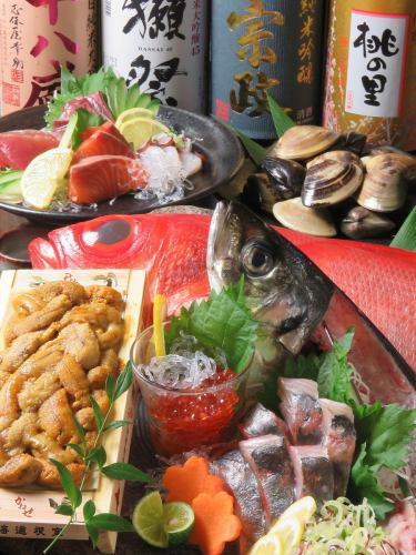 【魚主菜】鯖魚等11道菜/生魚片5種拼盤等120分鐘【無限暢飲】5,000日元