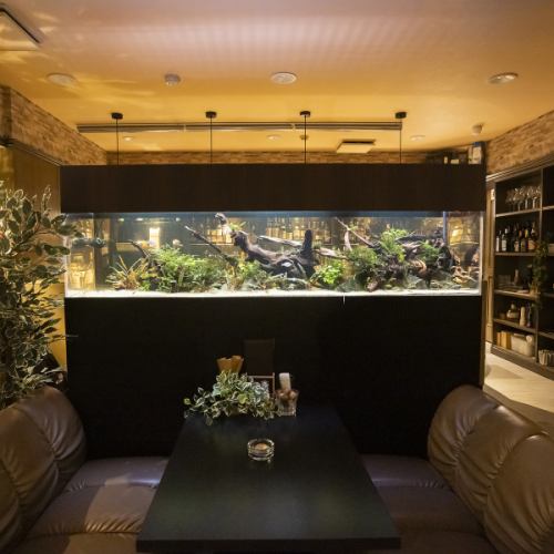 水槽と酒に癒される贅沢時間