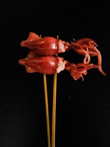 蛍烏賊