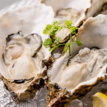 3 kinds of raw oysters
