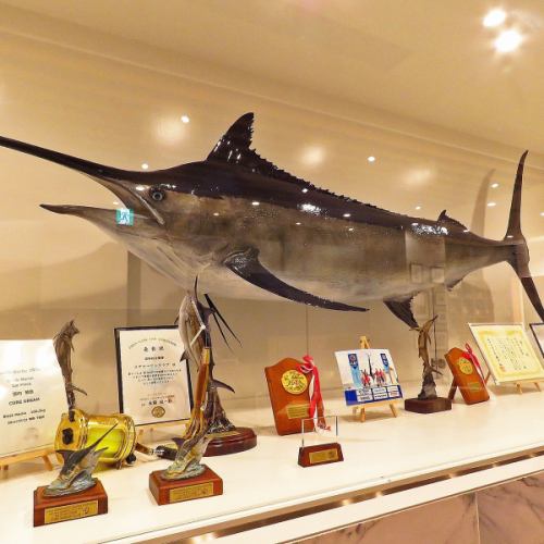 A huge swordfish in the store !?