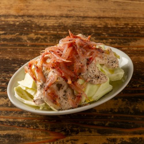 生桜エビと春キャベツのトントナートソース