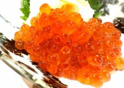 希少!!サーモンのイクラおろし