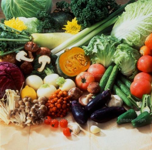 [Exquisite vegetables] Cabbage, potatoes, carrots, pumpkins, green peppers