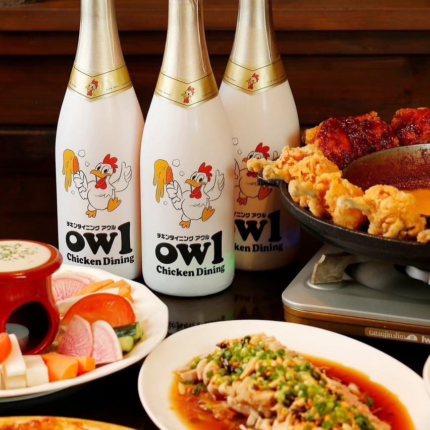 【高崎駅徒歩5分】チキンとチーズが名物の居酒屋”owl”!