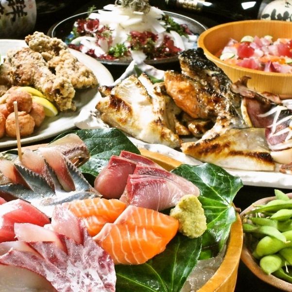 Marusa套餐3,300日圓（含稅） 享用新鮮的魚★附贈生魚片拼盤！！