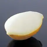 レモンシャーベット