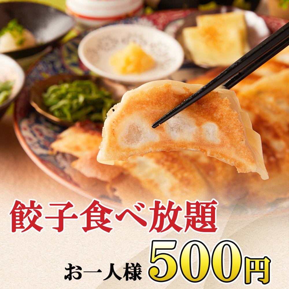 《コスパ最強》500円で餃子食べ放題!!新宿での宴会・飲み会に◎