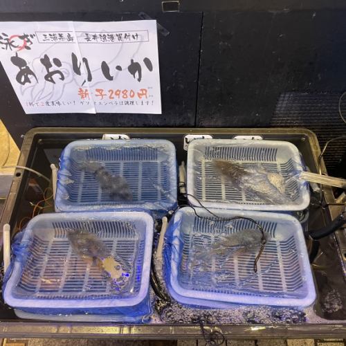 【舞動魷魚宮】收到訂單後，我們就把它從水族箱拿出來準備！