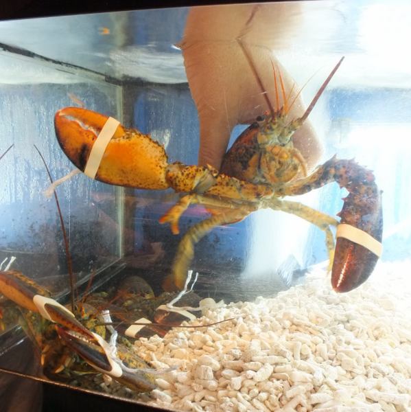 海鮮は生簀から活きたまま取り出してその場で調理するこだわり。新鮮な料理が頂けます。