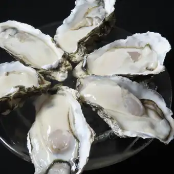 Raw oysters (grilled oysters/steamed oysters) Medium size