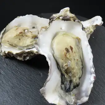 Raw oysters (grilled oysters/steamed oysters) Large size