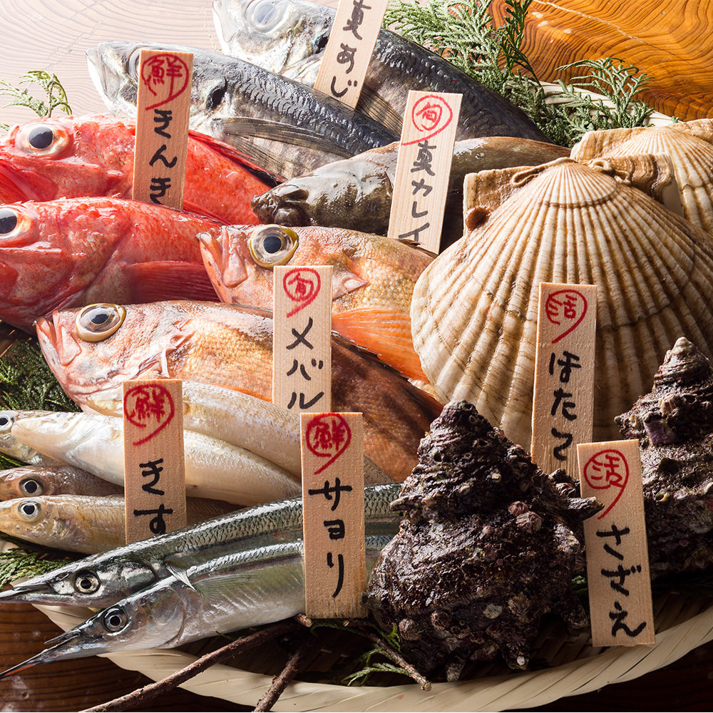 産地直送の厳選素材を使用した鮮度にこだわる創作料理をご提供！