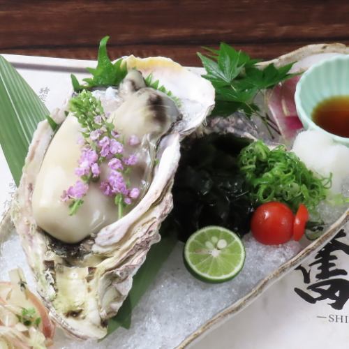 【限量供应】岛根岩蚝刺身