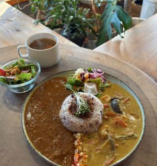 Two types of mixed curry