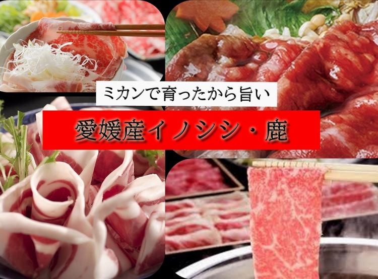 ジビエ焼肉 ジビエ鍋 狩人の空 公式