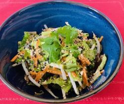 9品目野菜のオリエンタルサラダ