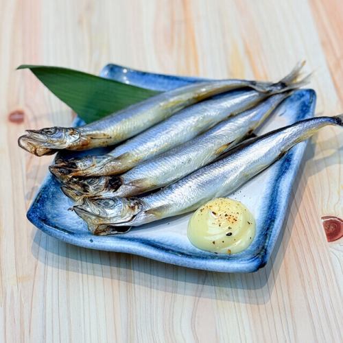 Grilled Shishamo