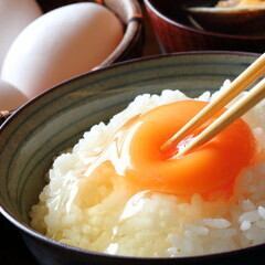 Egg Kakugo