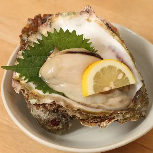 特選岩カキ（特大、生食用）